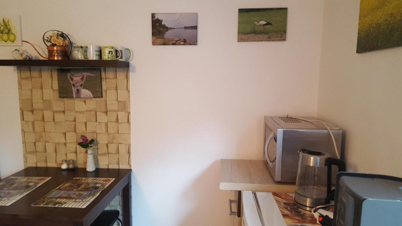 Alpaka-Ranczo Aff Villa Puławy Dış mekan fotoğraf